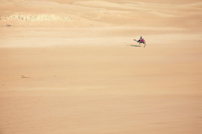 Adventurer Interviews